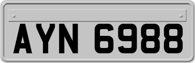 AYN6988