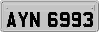 AYN6993