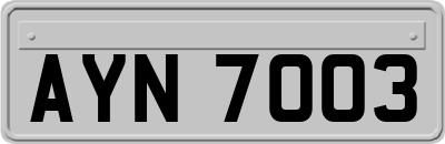 AYN7003