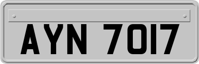 AYN7017