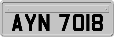 AYN7018