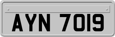AYN7019