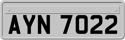 AYN7022