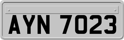 AYN7023