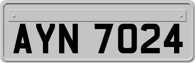 AYN7024