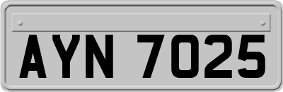 AYN7025
