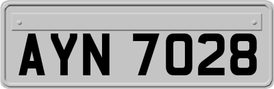AYN7028