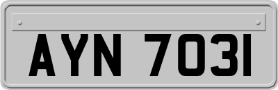 AYN7031