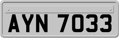 AYN7033