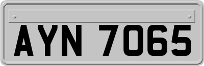 AYN7065