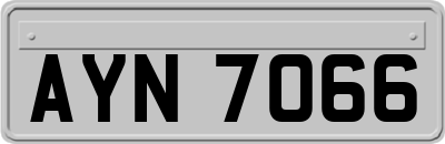 AYN7066