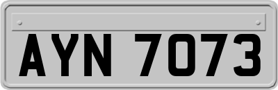 AYN7073