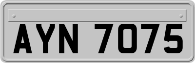 AYN7075