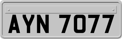 AYN7077