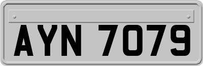 AYN7079