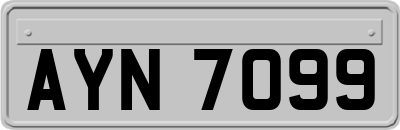 AYN7099