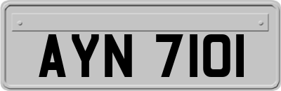 AYN7101