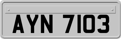 AYN7103