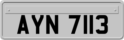AYN7113