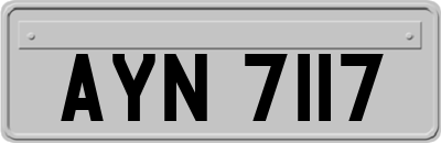 AYN7117