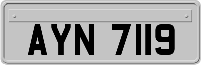 AYN7119