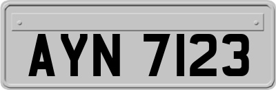 AYN7123