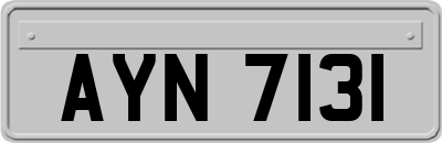 AYN7131