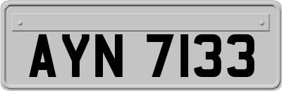 AYN7133