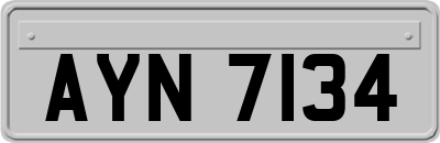 AYN7134