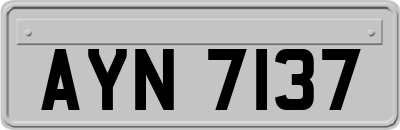 AYN7137