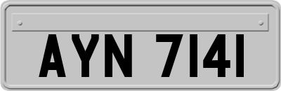 AYN7141
