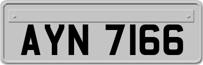 AYN7166