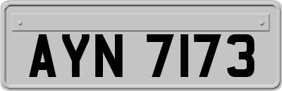 AYN7173