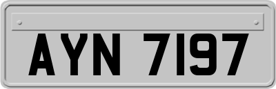 AYN7197