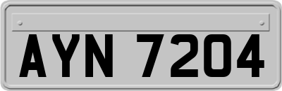 AYN7204