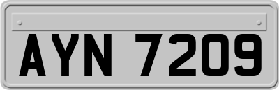 AYN7209