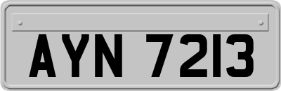 AYN7213