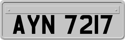 AYN7217