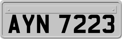 AYN7223