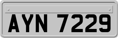 AYN7229