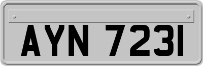 AYN7231
