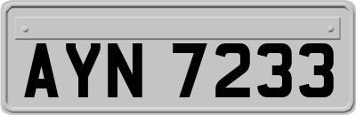 AYN7233