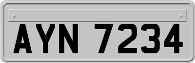 AYN7234