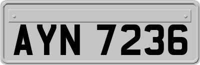 AYN7236