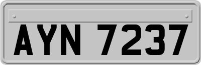 AYN7237