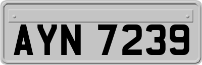 AYN7239