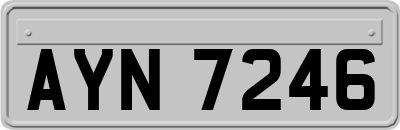 AYN7246