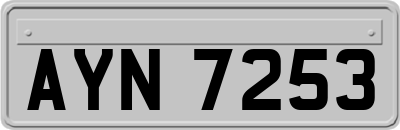 AYN7253