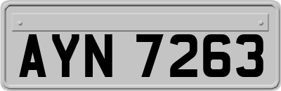 AYN7263