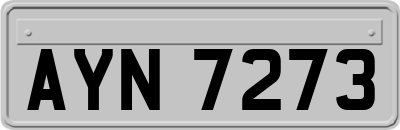 AYN7273